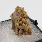  Pyromorphite | Perky Box Thumbnail Specimen | Córdoba, Spain 1