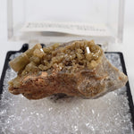  Pyromorphite | Perky Box Thumbnail Specimen | Córdoba, Spain 2