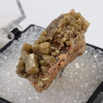  Pyromorphite | Perky Box Thumbnail Specimen | Córdoba, Spain 