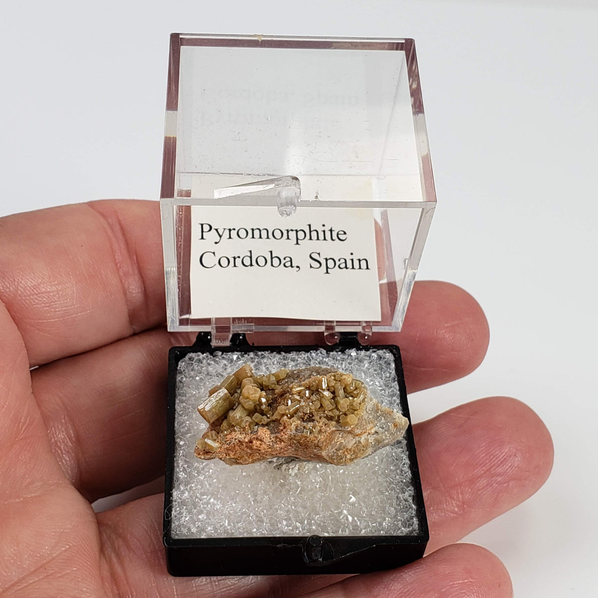  Pyromorphite | Perky Box Thumbnail Specimen | Córdoba, Spain 5