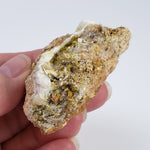  Pyromorphite and Wulfenite Crystal Cluster | 62 Grams | Chihuahua State, Mexico 2