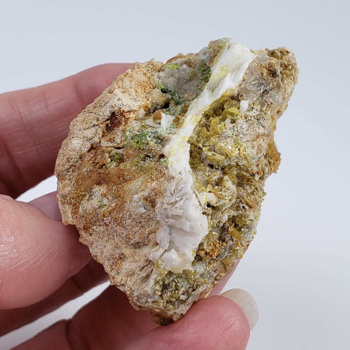  Pyromorphite and Wulfenite Crystal Cluster | 62 Grams | Chihuahua State, Mexico 6