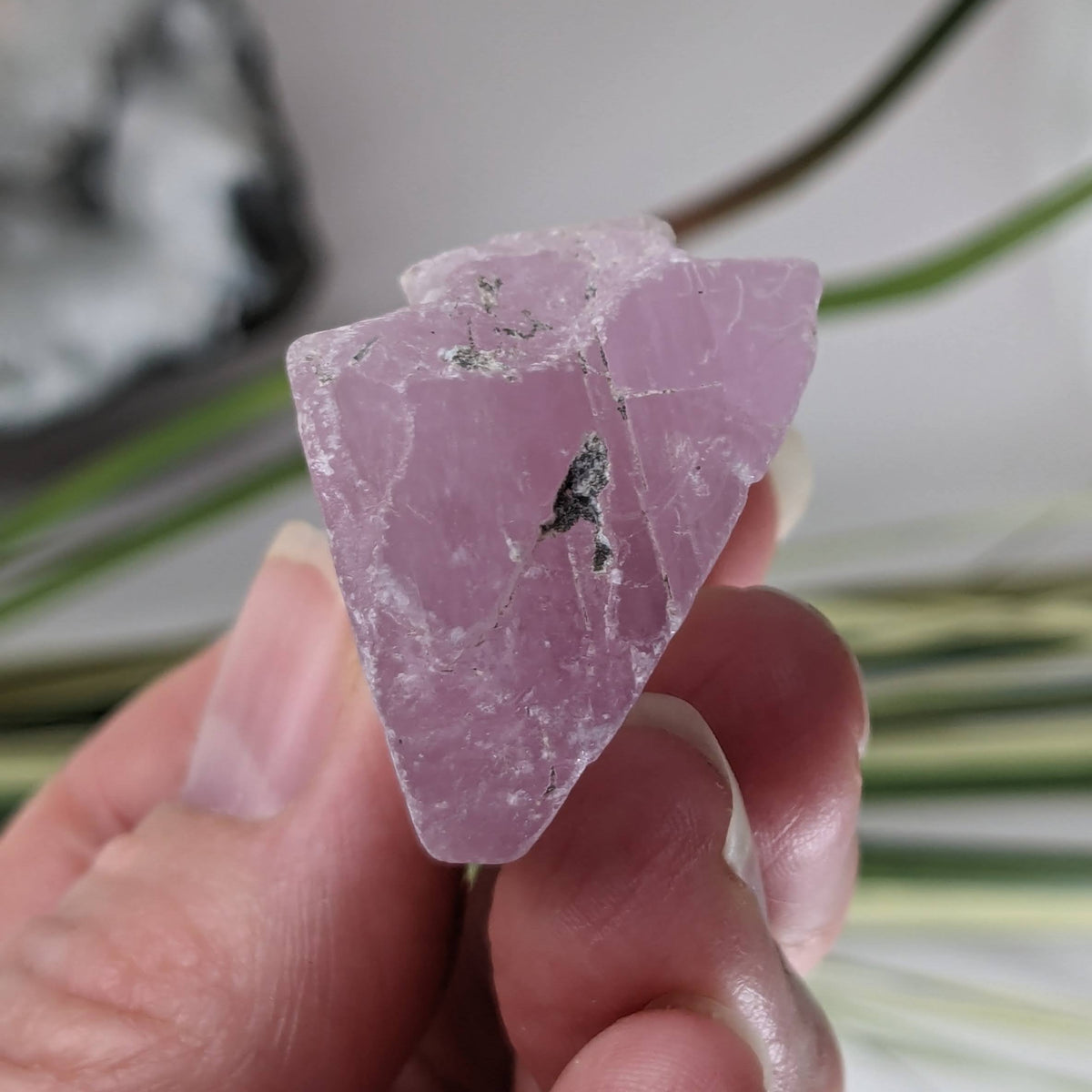  Raw Kunzite | Rough Spodumene | Lilac Pink | 230ct 46gr | Afghanistan 4