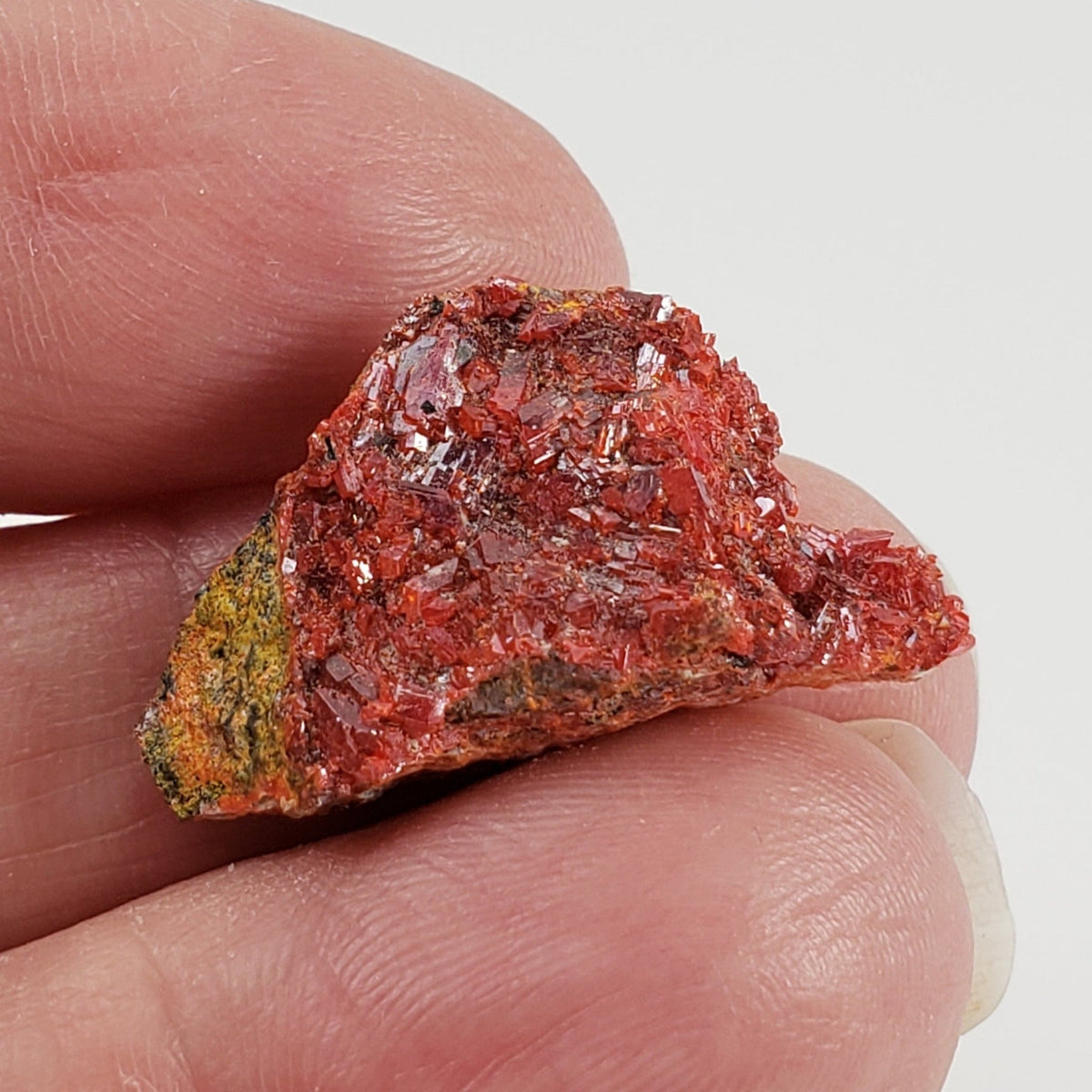  Realgar Crystal Cluster | 2.4 Grams | Green River Gorge, King Co., Washington | SO24 5