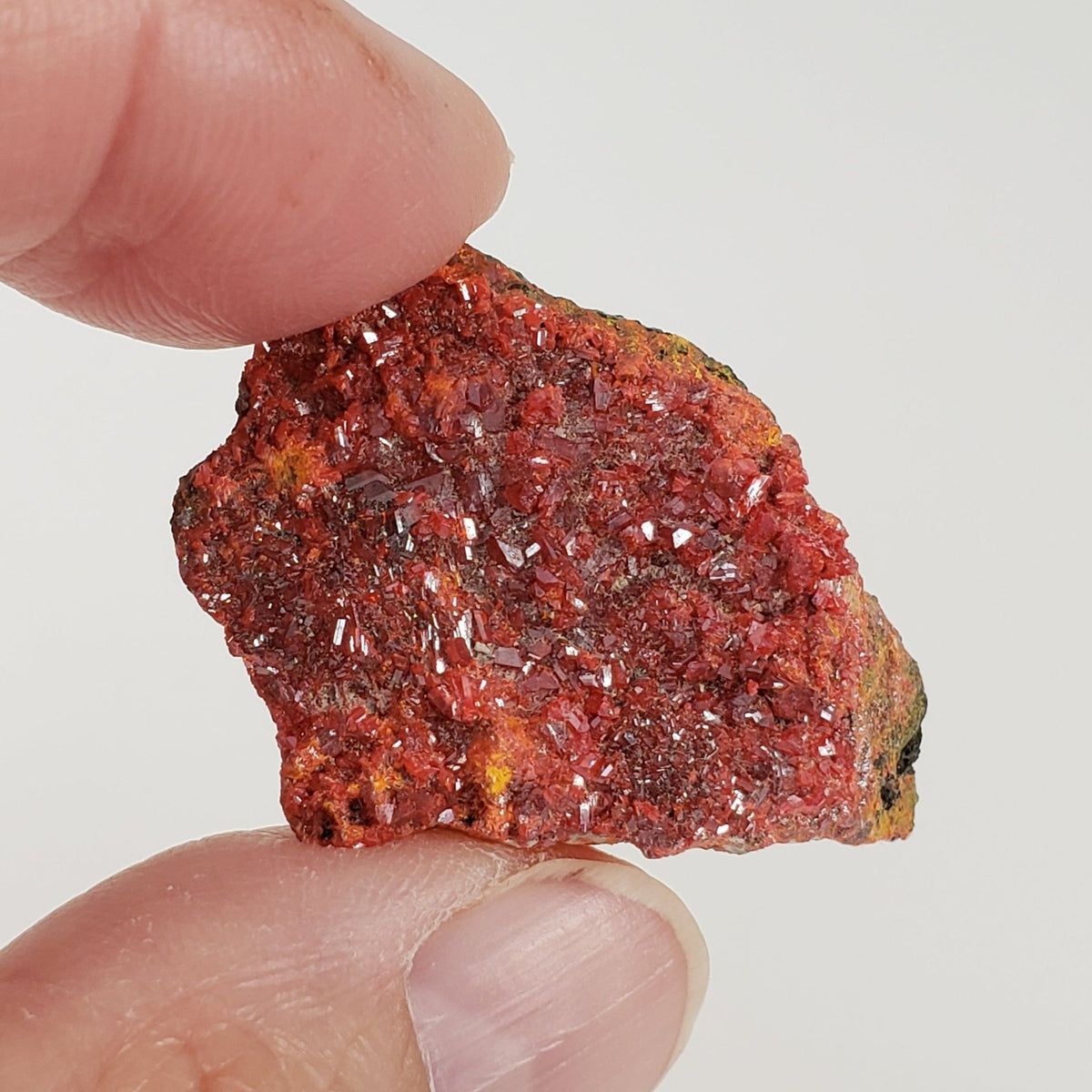  Realgar Crystal Cluster | 7.1 Grams | Green River Gorge, King Co., Washington | SO24 4