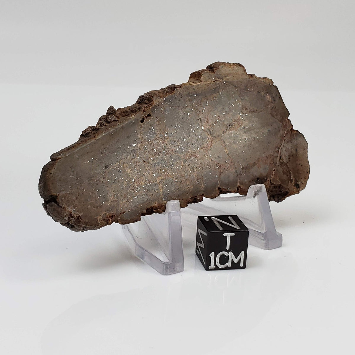  Red Suevite Fallback Breccia | 34.2 Grams | Slice | Sääksjärvi Crater, Finland 