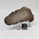  Red Suevite Fallback Breccia | 34.2 Grams | Slice | Sääksjärvi Crater, Finland 