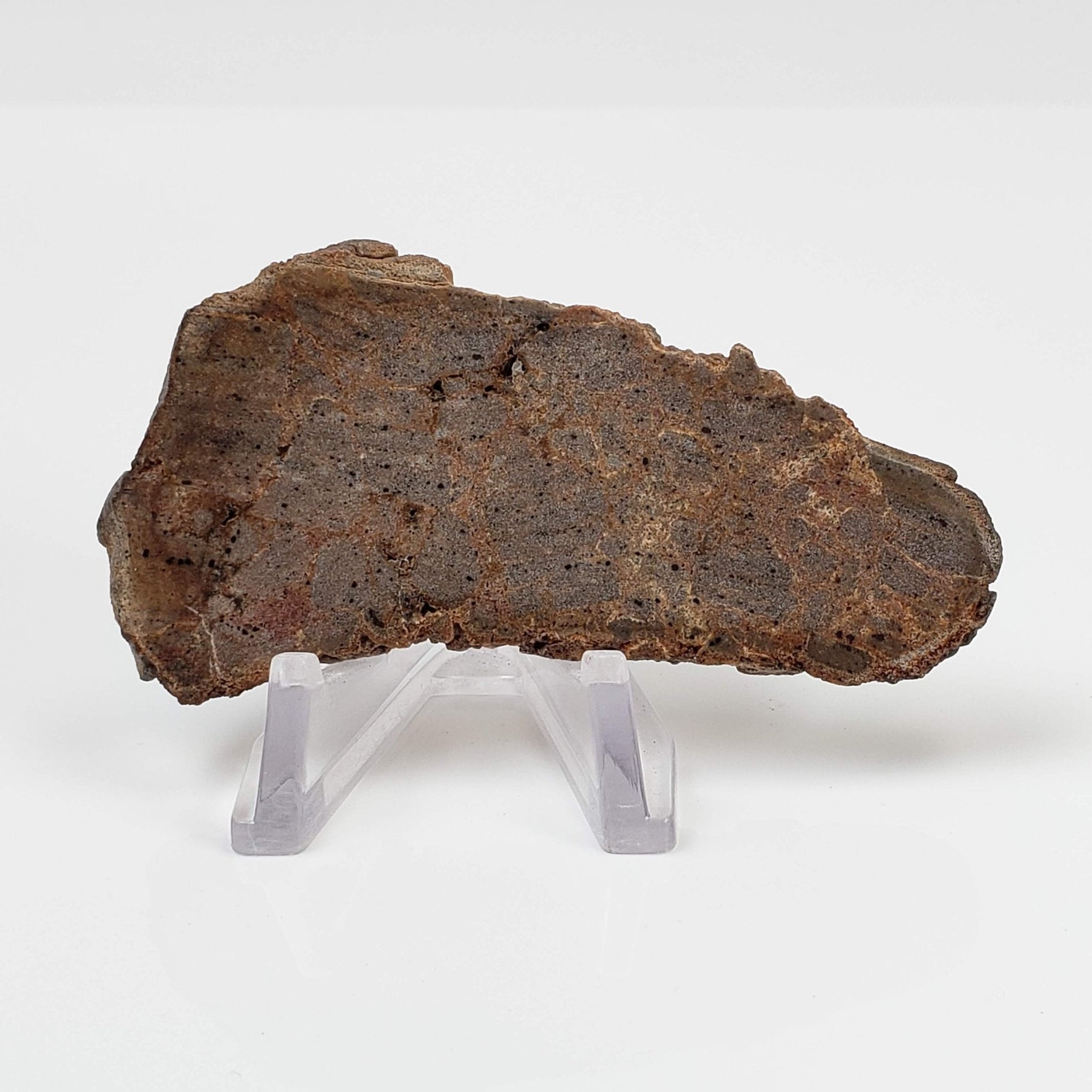  Red Suevite Fallback Breccia | 34.2 Grams | Slice | Sääksjärvi Crater, Finland 2