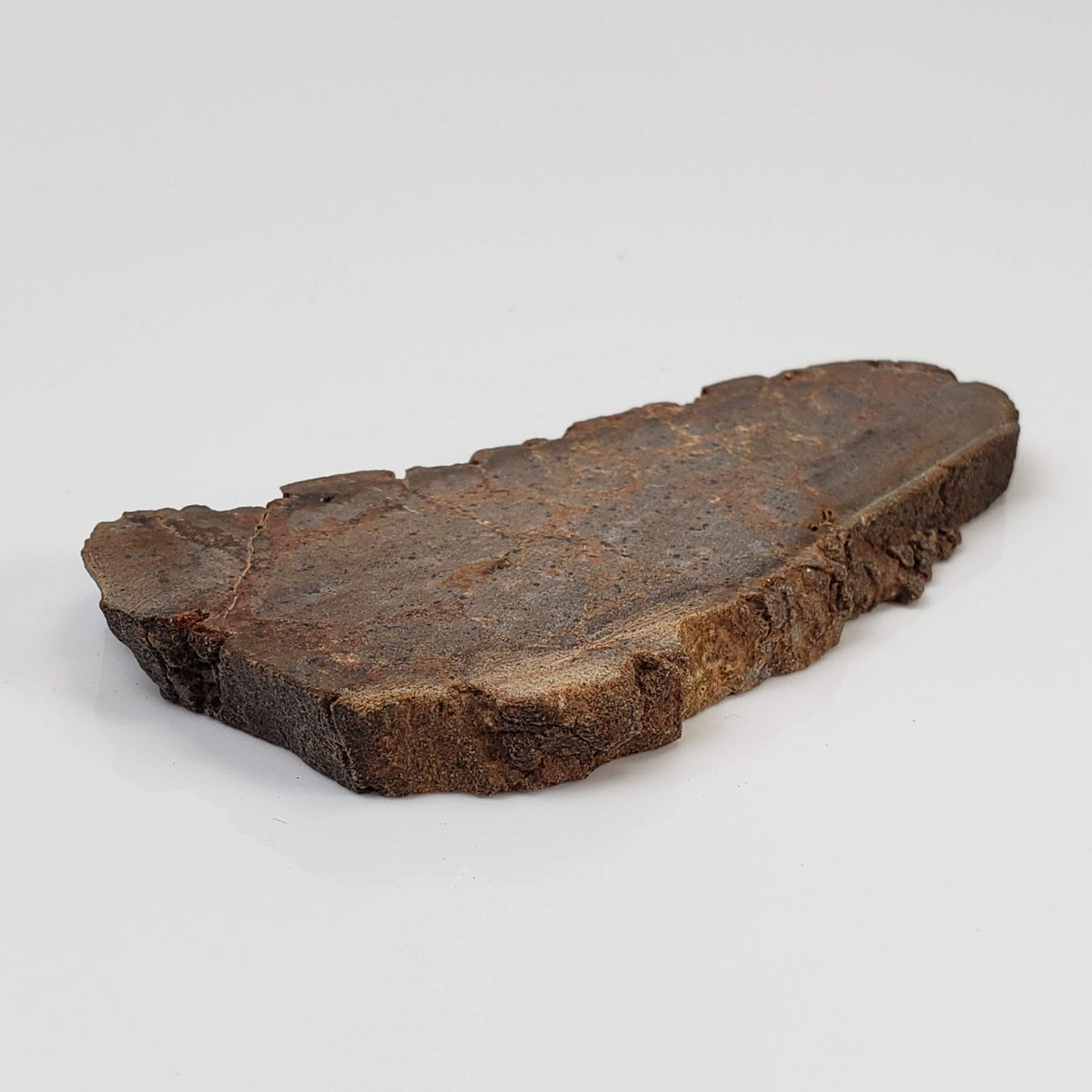  Red Suevite Fallback Breccia | 34.2 Grams | Slice | Sääksjärvi Crater, Finland 4