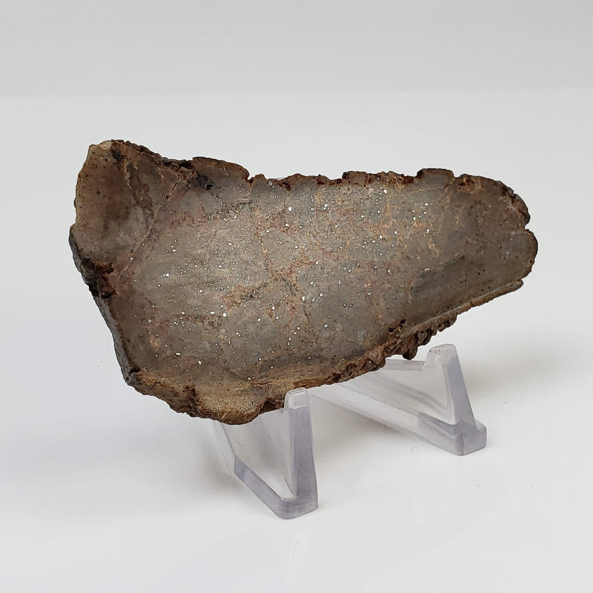  Red Suevite Fallback Breccia | 34.2 Grams | Slice | Sääksjärvi Crater, Finland 6