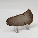  Red Suevite Fallback Breccia | 34.2 Grams | Slice | Sääksjärvi Crater, Finland 7