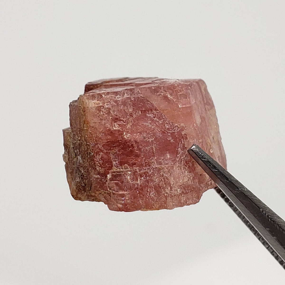  Rhodochrosite Crystal | Perky Box Display | Poudrette Quarry | Mont Saint-Hilaire, Quebec, Canada 3