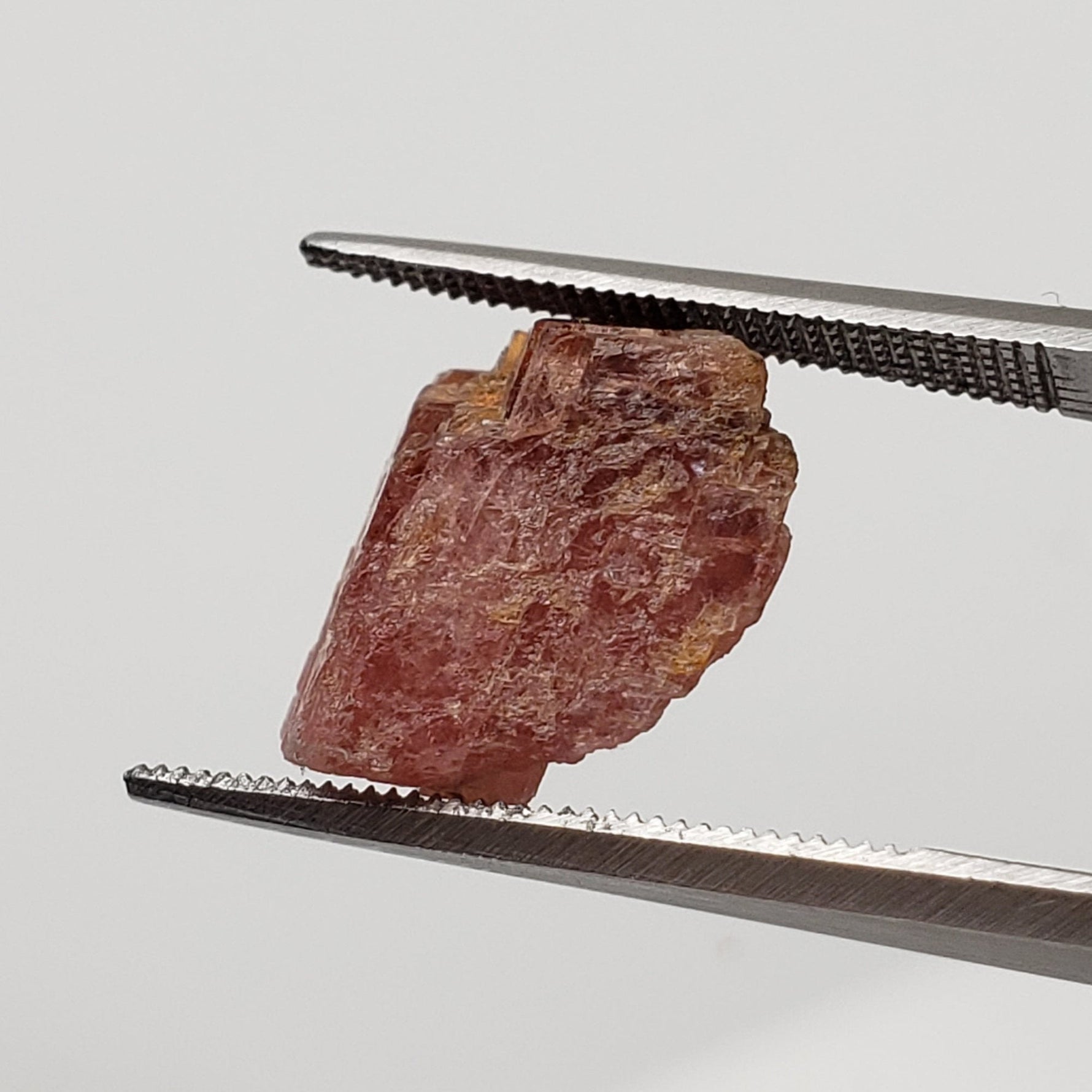  Rhodochrosite Crystal | Perky Box Display | Poudrette Quarry | Mont Saint-Hilaire, Quebec, Canada 6