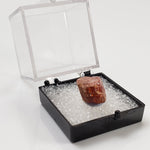  Rhodochrosite Crystal | Perky Box Display | Poudrette Quarry | Mont Saint-Hilaire, Quebec, Canada 8