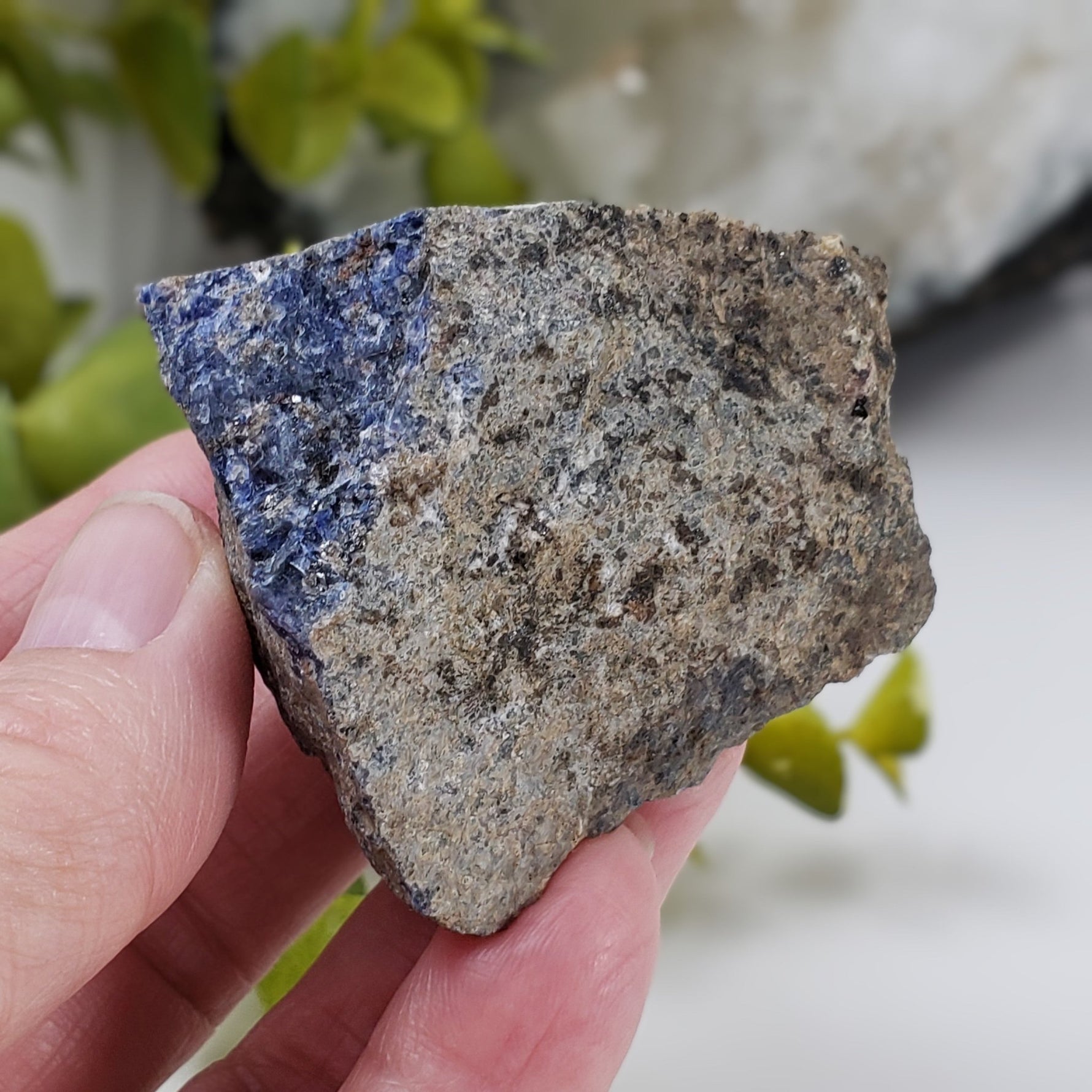  Rough Sodalite | 104 grams | Princess Sodalite Mine | Bancroft, Ontario, Canada 1