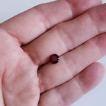  Ruby | Antique Cut | Pigeon Blood Red | 6.8x6.5mm | Myanmar 7