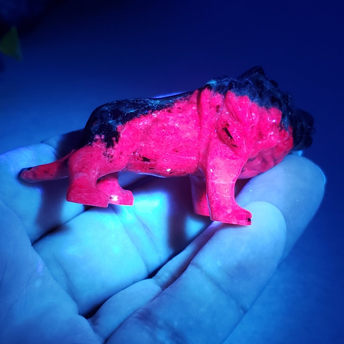  Ruby Zoisite Lion Carving | Unheated, Natural, Fluorescent | 56 gr | Tanzania 7