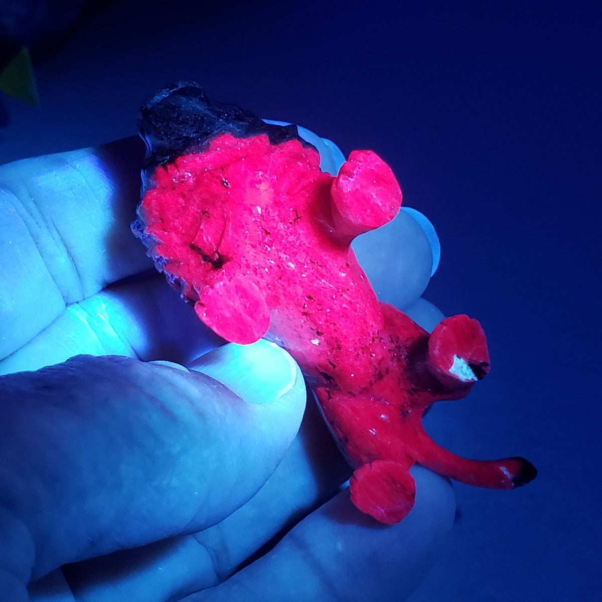  Ruby Zoisite Lion Carving | Unheated, Natural, Fluorescent | 56 gr | Tanzania 9