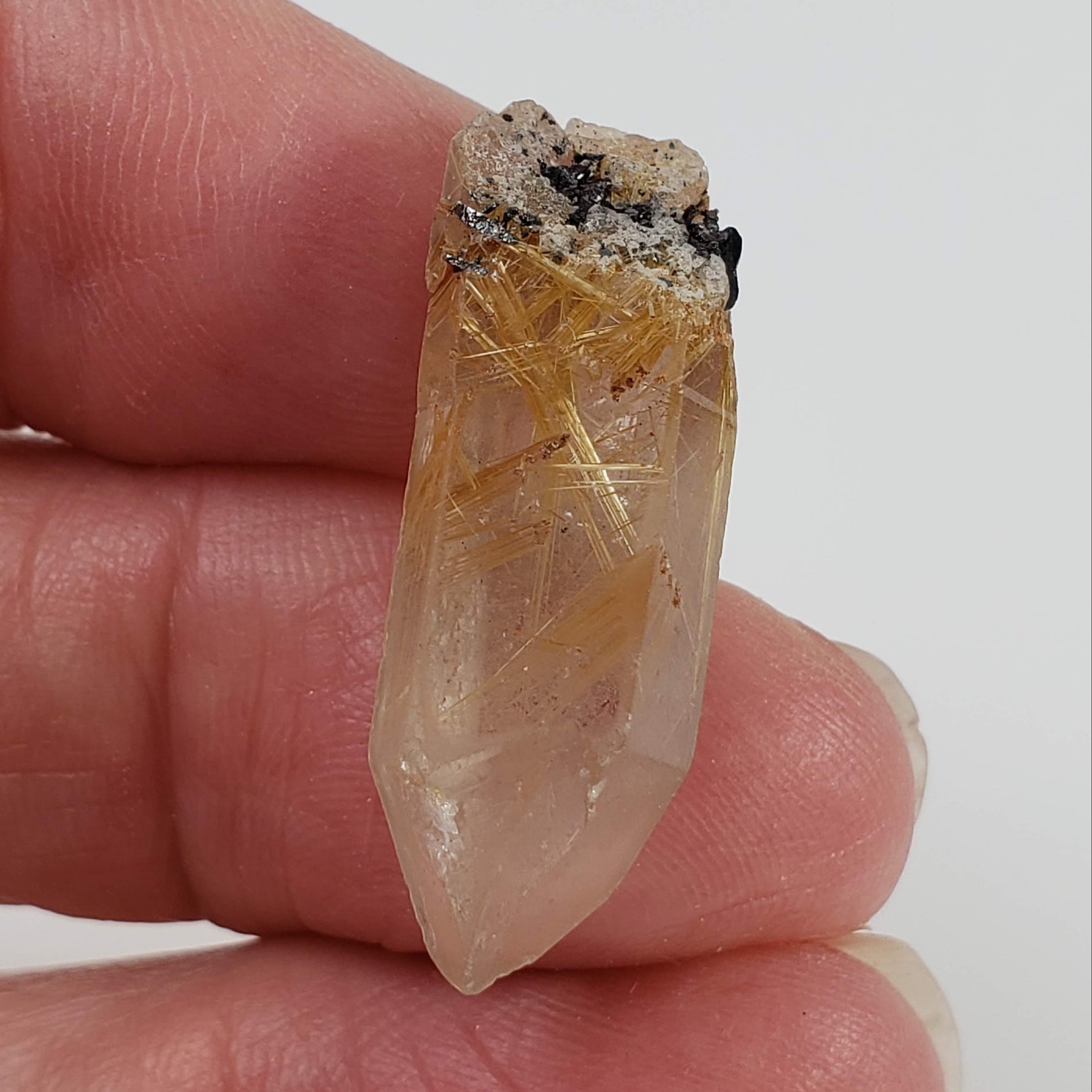  Rutilated Quartz Crystal | Rutilated Quartz Point | 3.68 grams | Novo Horizonte, Bahia, Brazil 4