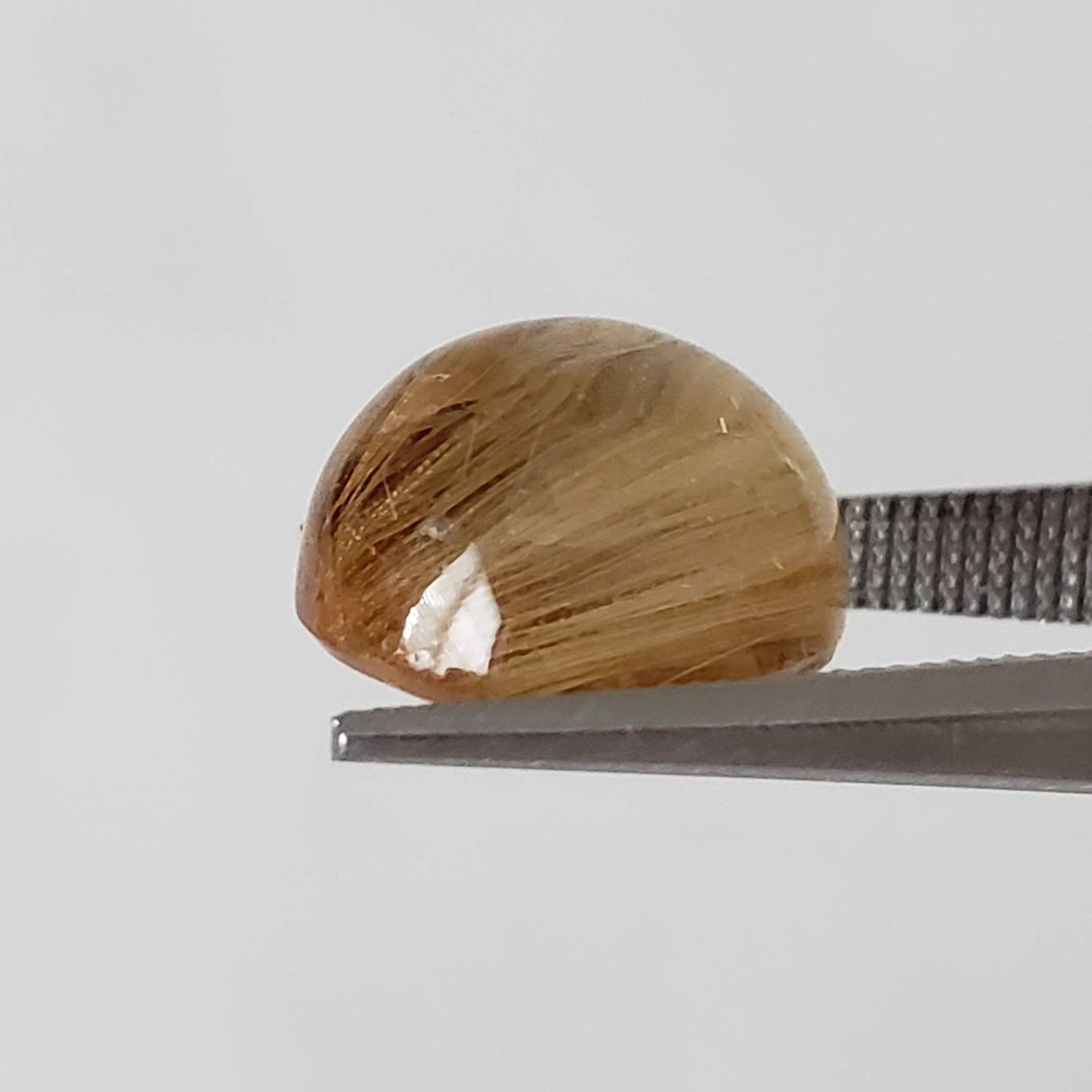  Rutile Cats Eye | Round Cabochon | 10.7mm 6.6ct 3