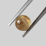  Rutile Cats Eye | Round Cabochon | 8.0mm 2.7ct 