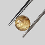  Rutile Cats Eye | Round Cabochon | 8.0mm 2.7ct 1