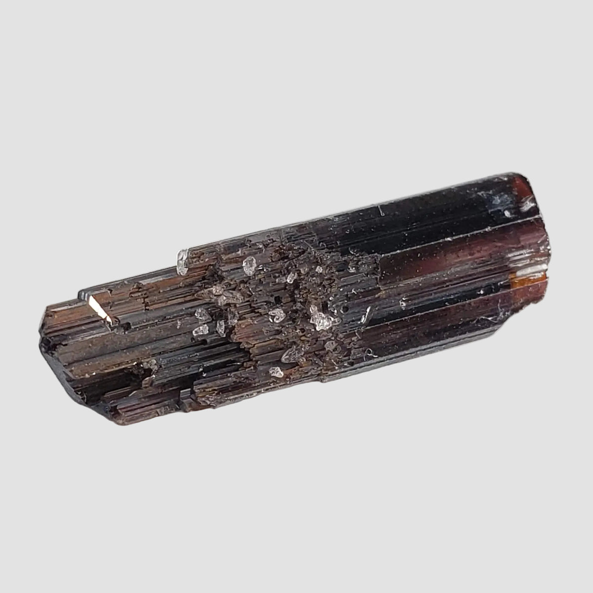 Rutile Crystal | Perky Box Specimen | Diamantina, Minas Gerais, Brazil 6