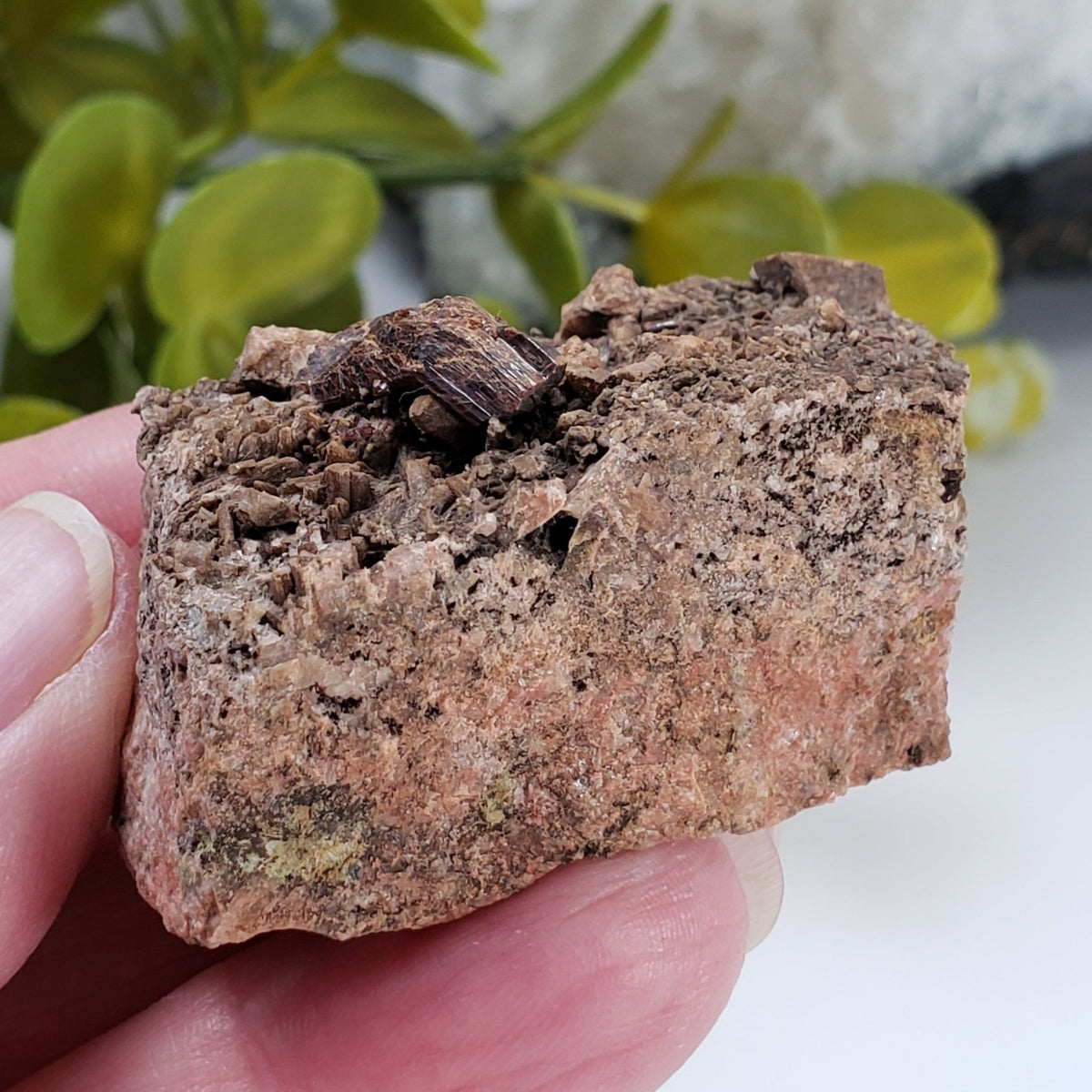  Rutile Crystal on Matrix | 55 Gr | McGregor Lake, Perkins, Quebec, Canada 6