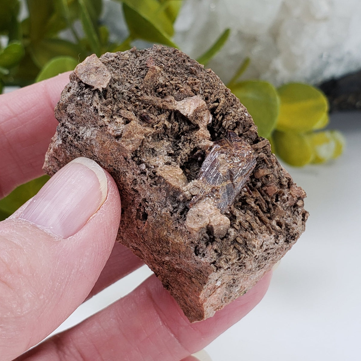  Rutile Crystal on Matrix | 55 Gr | McGregor Lake, Perkins, Quebec, Canada 8