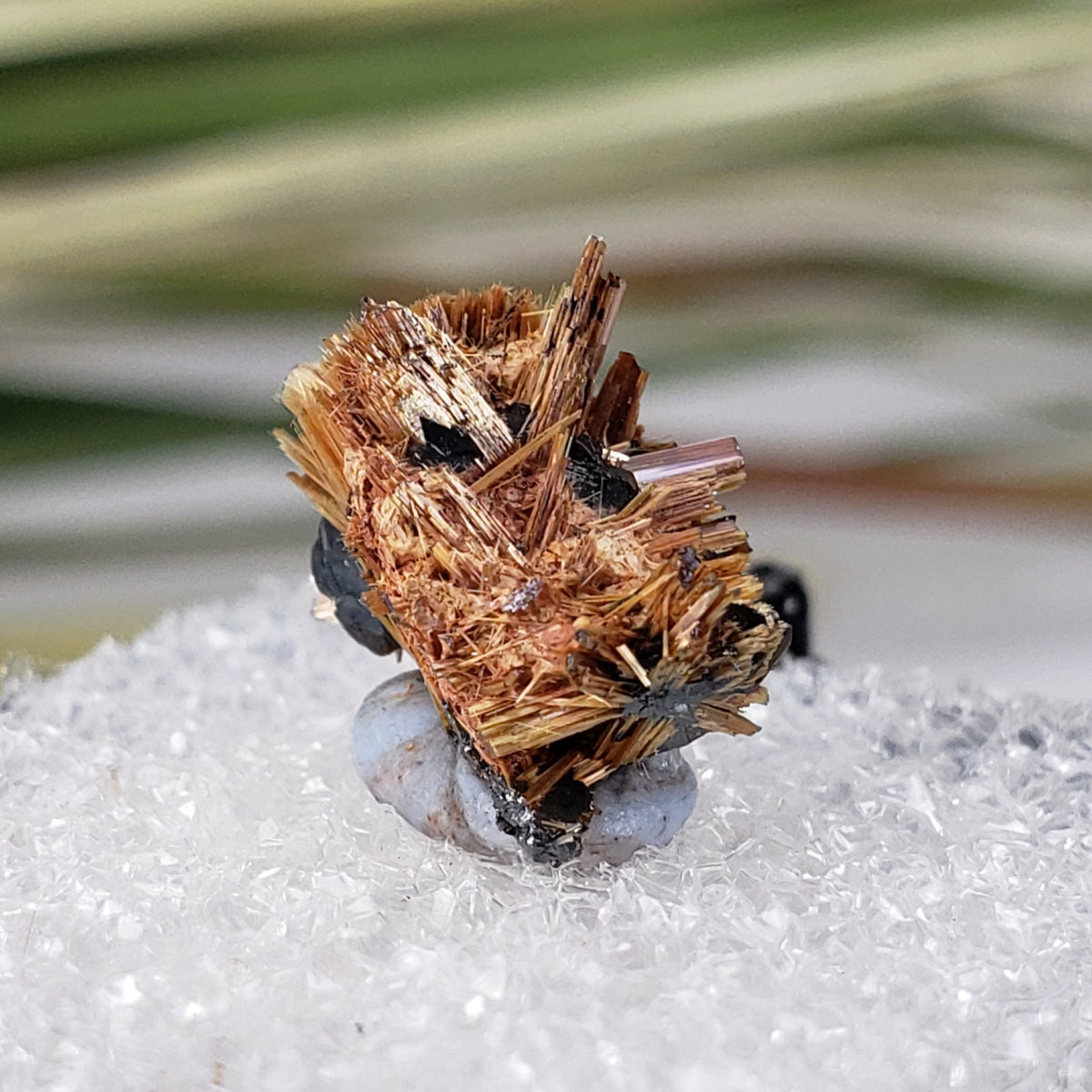  Rutile with Hematite  | Perky Box Thumbnail Specimen | Brazil | SO24 5