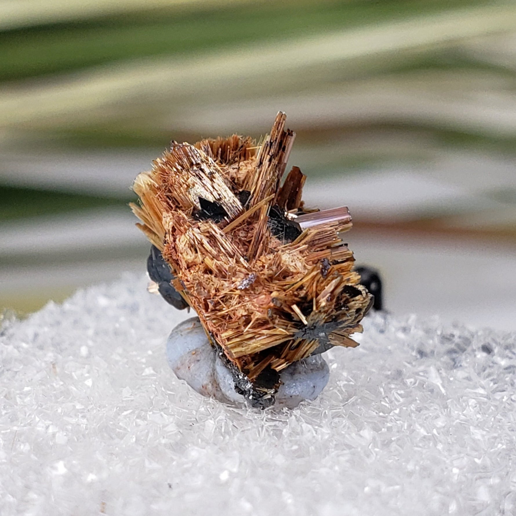  Rutile with Hematite  | Perky Box Thumbnail Specimen | Brazil | SO24 5