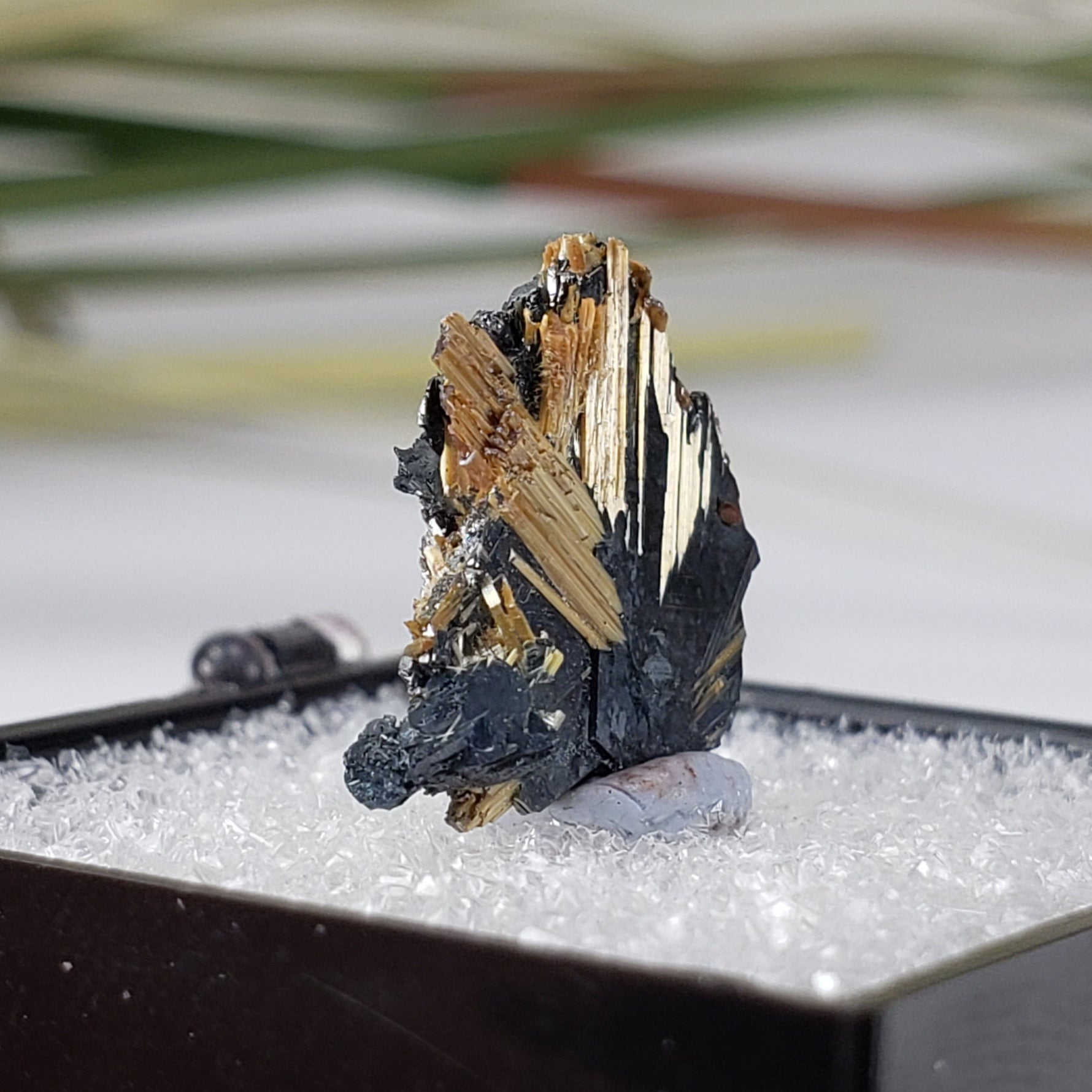  Rutile with Hematite  | Perky Box Thumbnail Specimen | Brazil | SO24 4