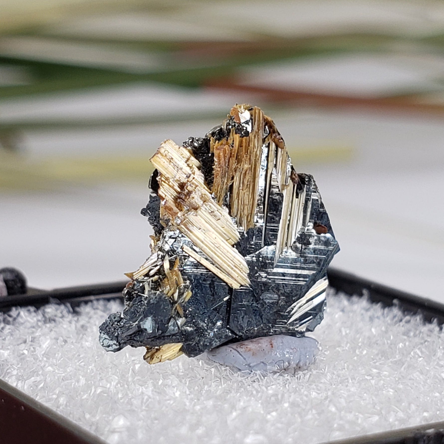  Rutile with Hematite  | Perky Box Thumbnail Specimen | Brazil | SO24 