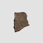  SAU 089 Meteorite | .364 Grams | Slice | Very Rare Transitional L/LL3.6/3.7 | Hupé Collection 0