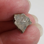  Sahara 02500 Meteorite | 0.98 Gr | Slice | L3 Chondrite | Wadi Mellene, Algeria | Sahara Desert | SO24 1