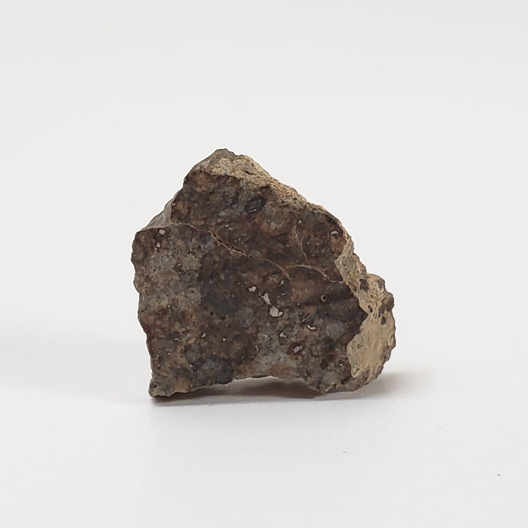  Sahara 02500 Meteorite | 0.98 Gr | Slice | L3 Chondrite | Wadi Mellene, Algeria | Sahara Desert | SO24 3