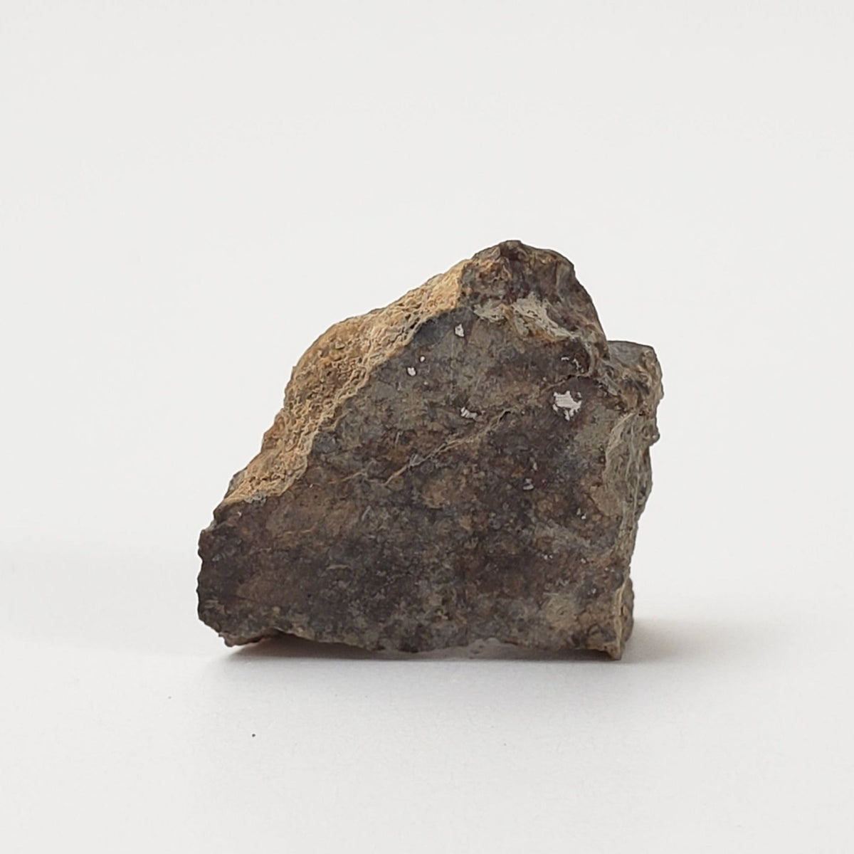  Sahara 02500 Meteorite | 0.98 Gr | Slice | L3 Chondrite | Wadi Mellene, Algeria | Sahara Desert | SO24 4
