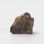  Sahara 02500 Meteorite | 0.98 Gr | Slice | L3 Chondrite | Wadi Mellene, Algeria | Sahara Desert | SO24 4