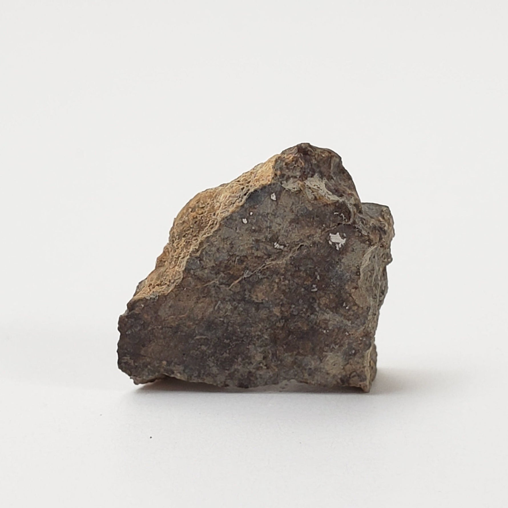  Sahara 02500 Meteorite | 0.98 Gr | Slice | L3 Chondrite | Wadi Mellene, Algeria | Sahara Desert | SO24 4