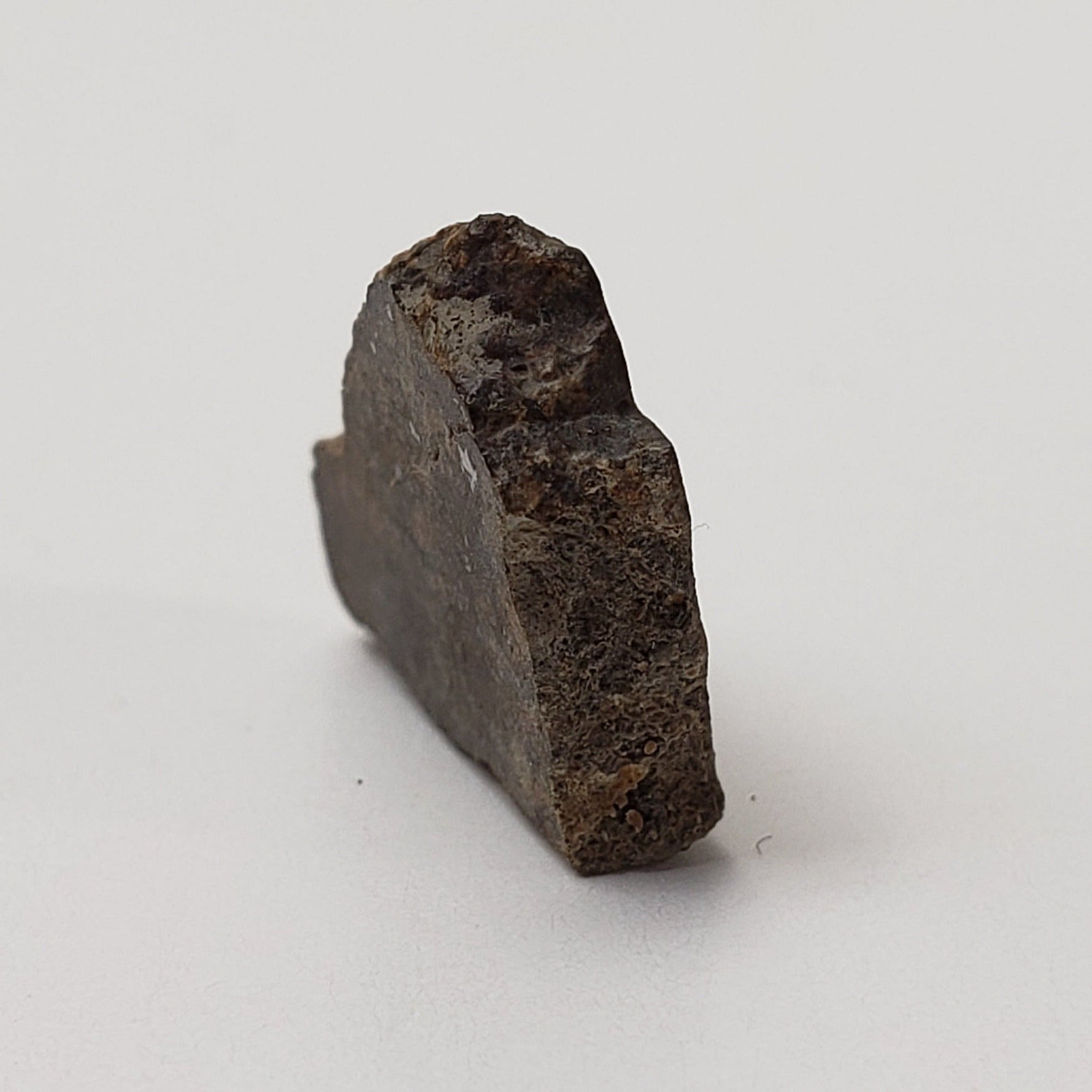  Sahara 02500 Meteorite | 0.98 Gr | Slice | L3 Chondrite | Wadi Mellene, Algeria | Sahara Desert | SO24 6