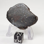  Sahara 02500 Meteorite | 17.54 Gr | Slice | L3 Chondrite | Wadi Mellene, Algeria | Sahara Desert | SO24 