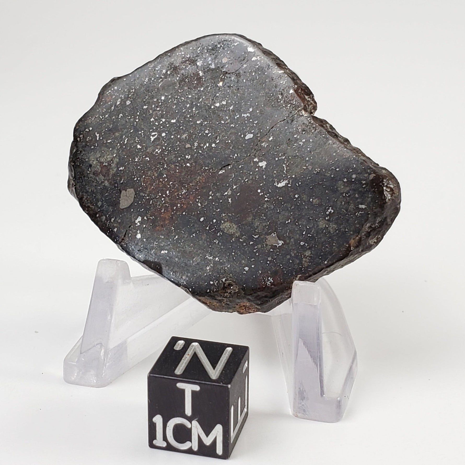  Sahara 02500 Meteorite | 17.54 Gr | Slice | L3 Chondrite | Wadi Mellene, Algeria | Sahara Desert | SO24 