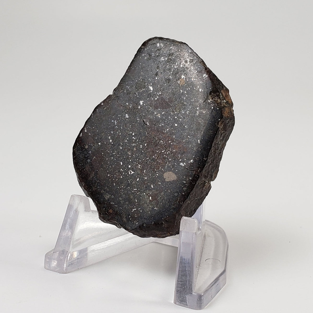  Sahara 02500 Meteorite | 17.54 Gr | Slice | L3 Chondrite | Wadi Mellene, Algeria | Sahara Desert | SO24 1