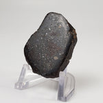  Sahara 02500 Meteorite | 17.54 Gr | Slice | L3 Chondrite | Wadi Mellene, Algeria | Sahara Desert | SO24 1