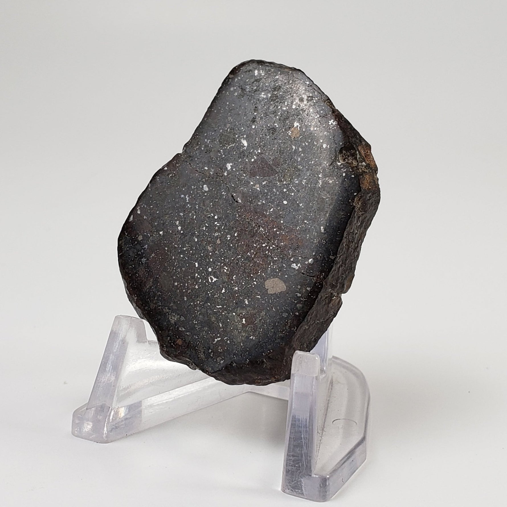  Sahara 02500 Meteorite | 17.54 Gr | Slice | L3 Chondrite | Wadi Mellene, Algeria | Sahara Desert | SO24 1
