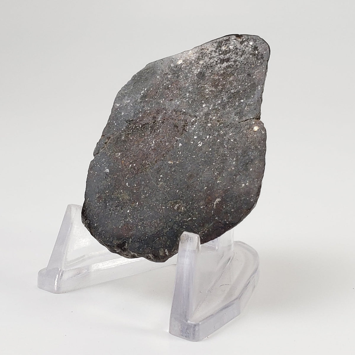  Sahara 02500 Meteorite | 17.54 Gr | Slice | L3 Chondrite | Wadi Mellene, Algeria | Sahara Desert | SO24 2