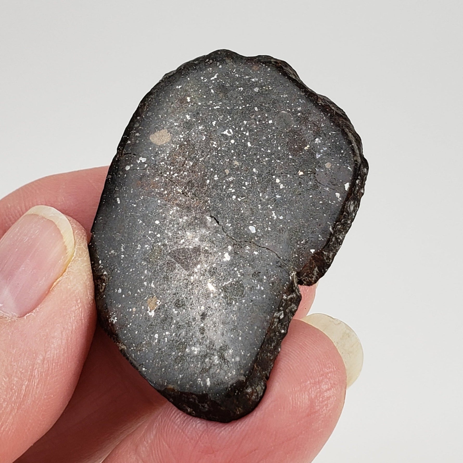  Sahara 02500 Meteorite | 17.54 Gr | Slice | L3 Chondrite | Wadi Mellene, Algeria | Sahara Desert | SO24 3