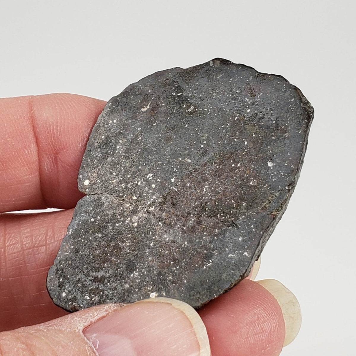  Sahara 02500 Meteorite | 17.54 Gr | Slice | L3 Chondrite | Wadi Mellene, Algeria | Sahara Desert | SO24 4