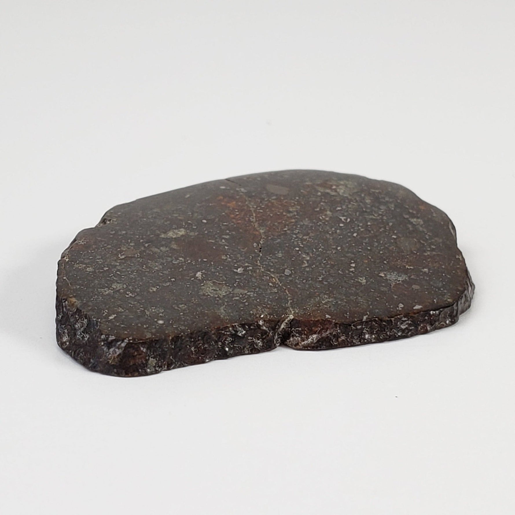  Sahara 02500 Meteorite | 17.54 Gr | Slice | L3 Chondrite | Wadi Mellene, Algeria | Sahara Desert | SO24 5