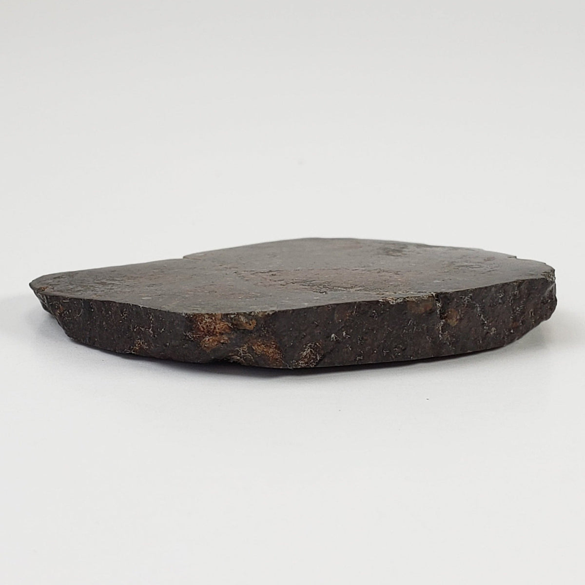  Sahara 02500 Meteorite | 17.54 Gr | Slice | L3 Chondrite | Wadi Mellene, Algeria | Sahara Desert | SO24 6